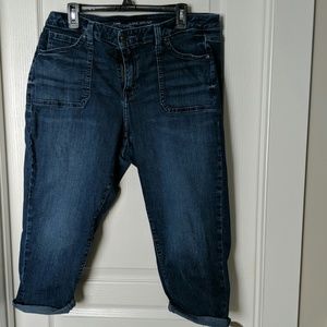 Lane Bryant Capri Pants